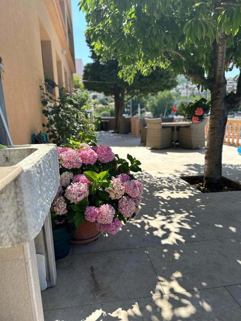 Apartmani Suzana Клейновиця Екстер'єр фото